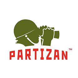 Partizan security cameras
